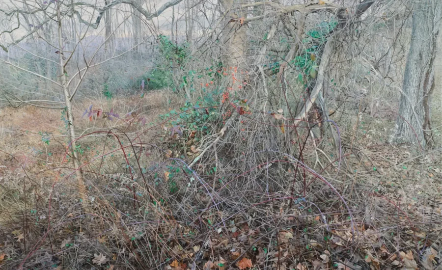 Sean Mount, Epochal Violence 9: Querencia/Altar