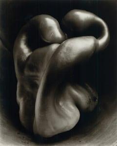 Edward Weston: Life Work - Michener Art Museum