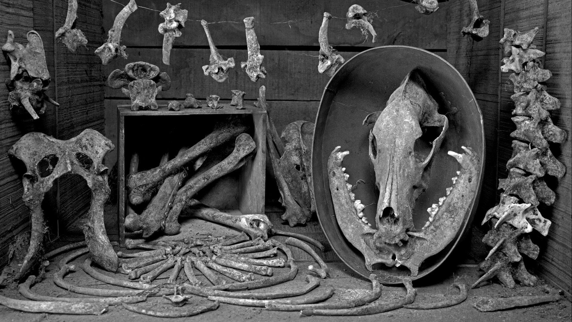 Credit: Bruce Katsiff (b. 1945), Pieces of a Life, 2013. Platinum palladium print, 12 x 20 inches. Courtesy of Katsiff Art Trust.